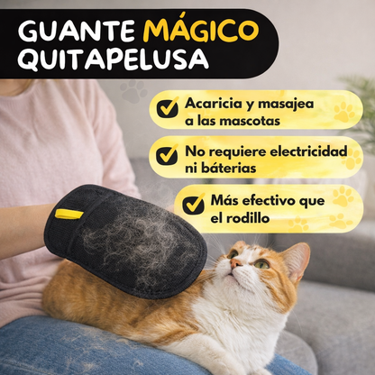 Pet-Clean Magic®X2